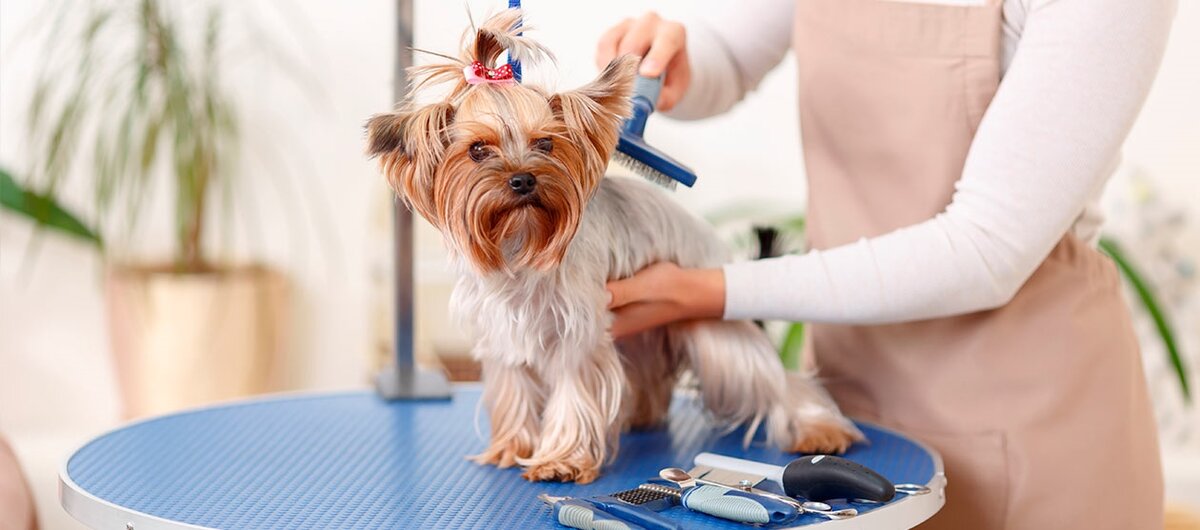 Уход за шерстью